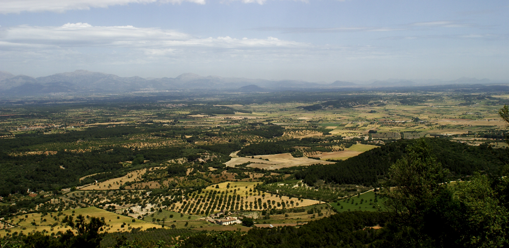 CRW_3918 Landesinnere.jpg